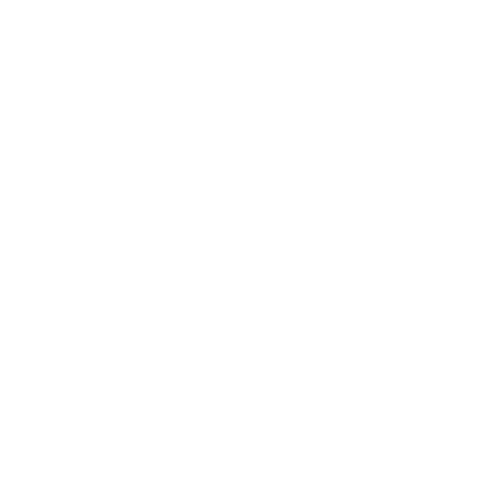 Staditech Builder Logo